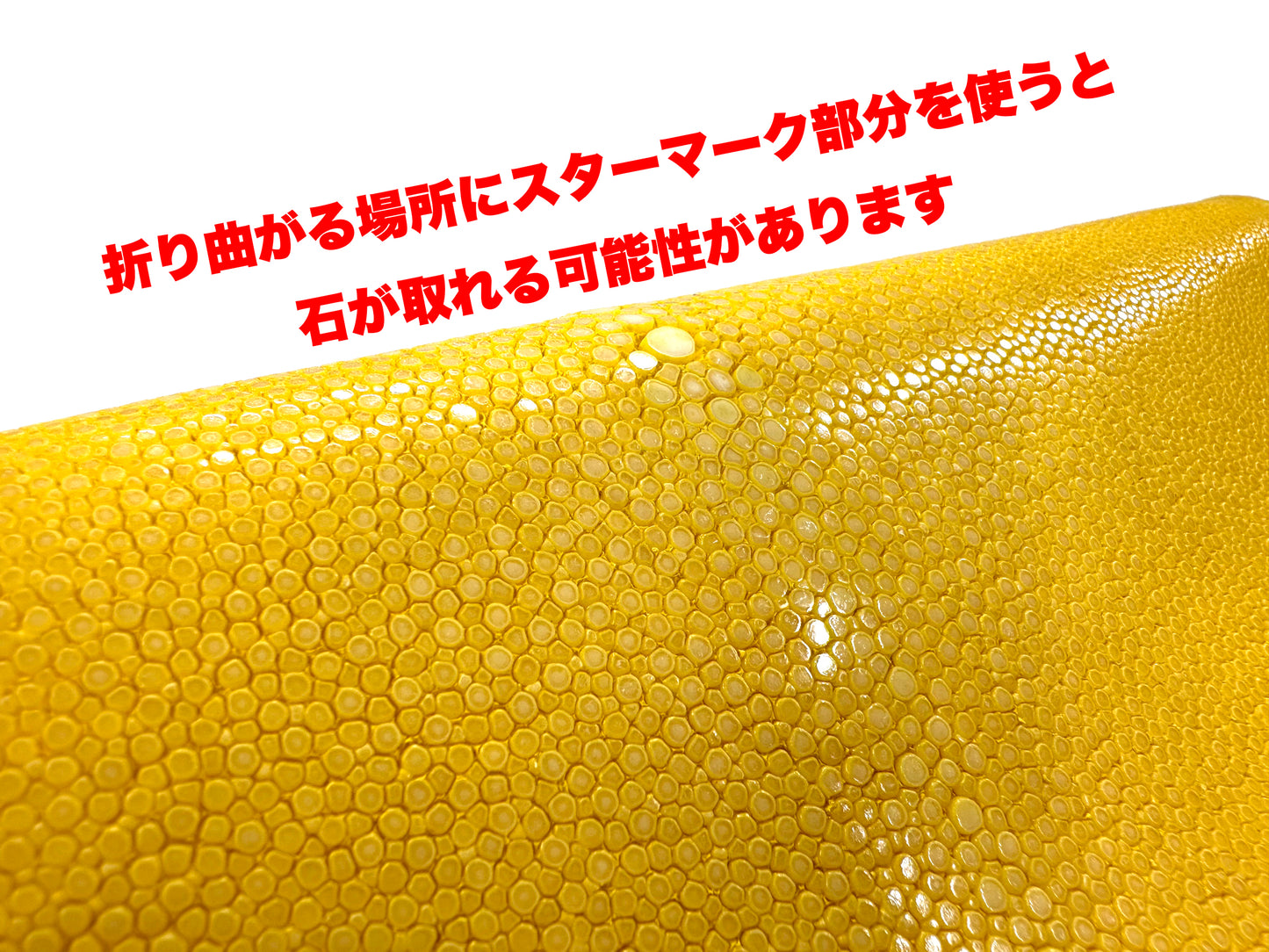スティングレイ(エイ革)6号 銀スリ #5 赤