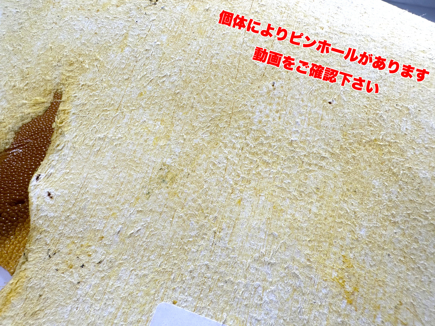スティングレイ(エイ革)9号 銀付き #10 濃茶