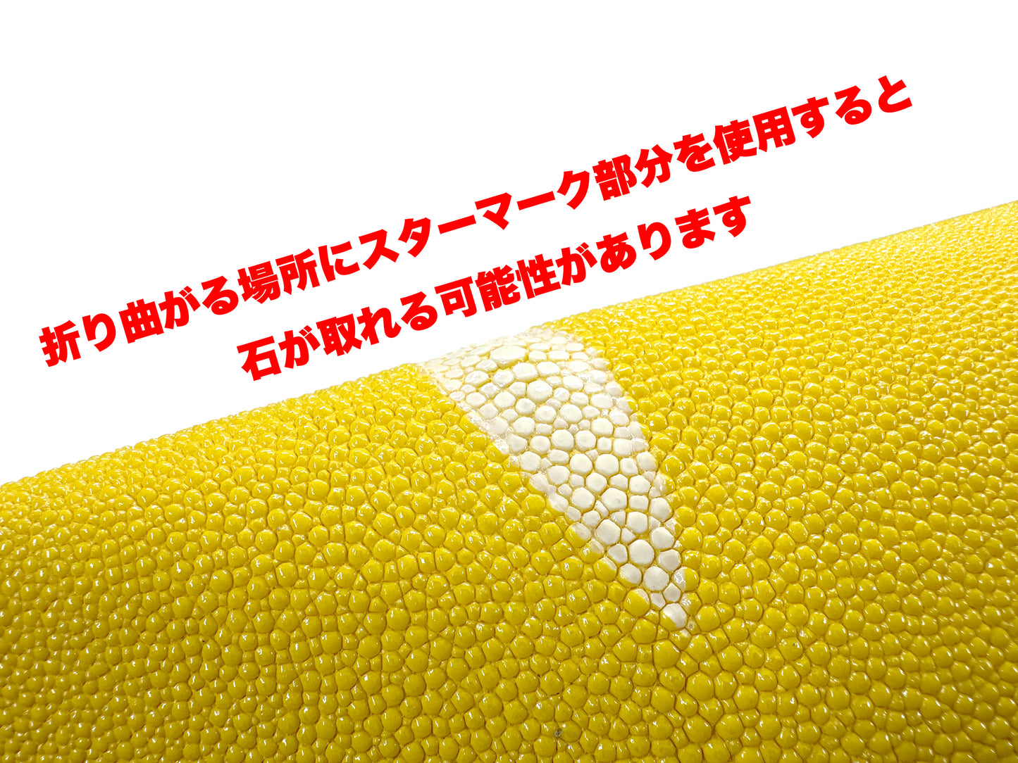 スティングレイ(エイ革)9号 銀付き #12 カーキ