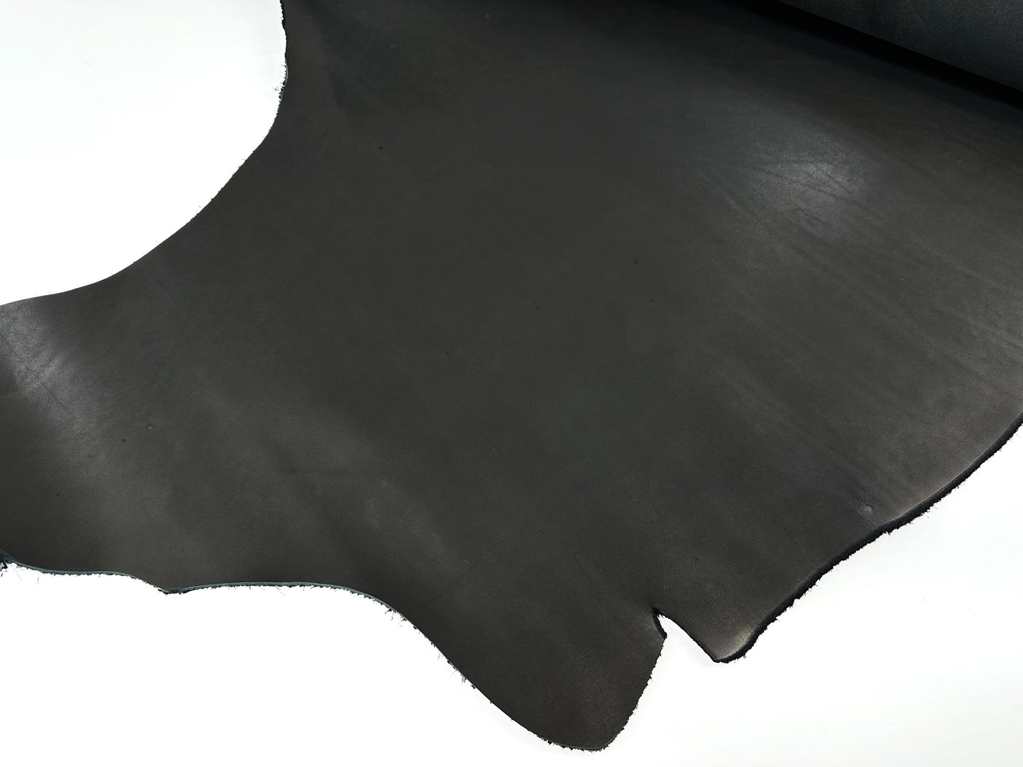 Carlos #514 Black