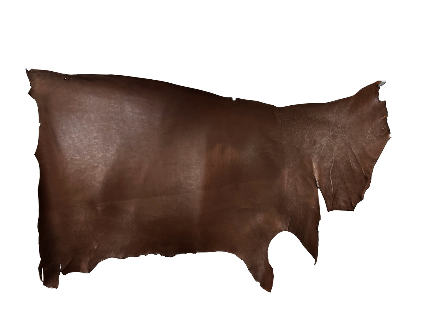 MW Teacore Vagitable Tanned Leather #Choco