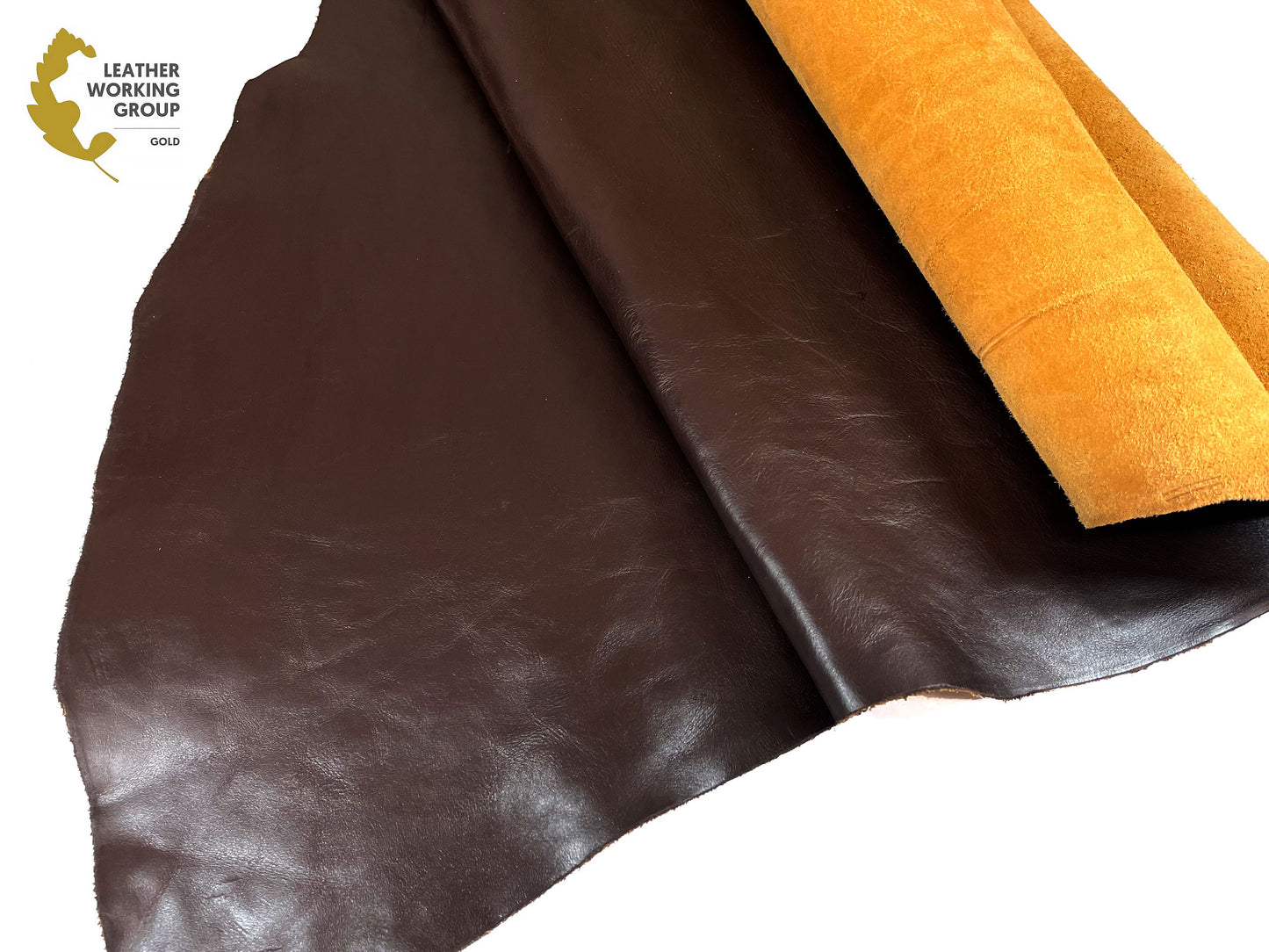 SF Horse #2 M Brown