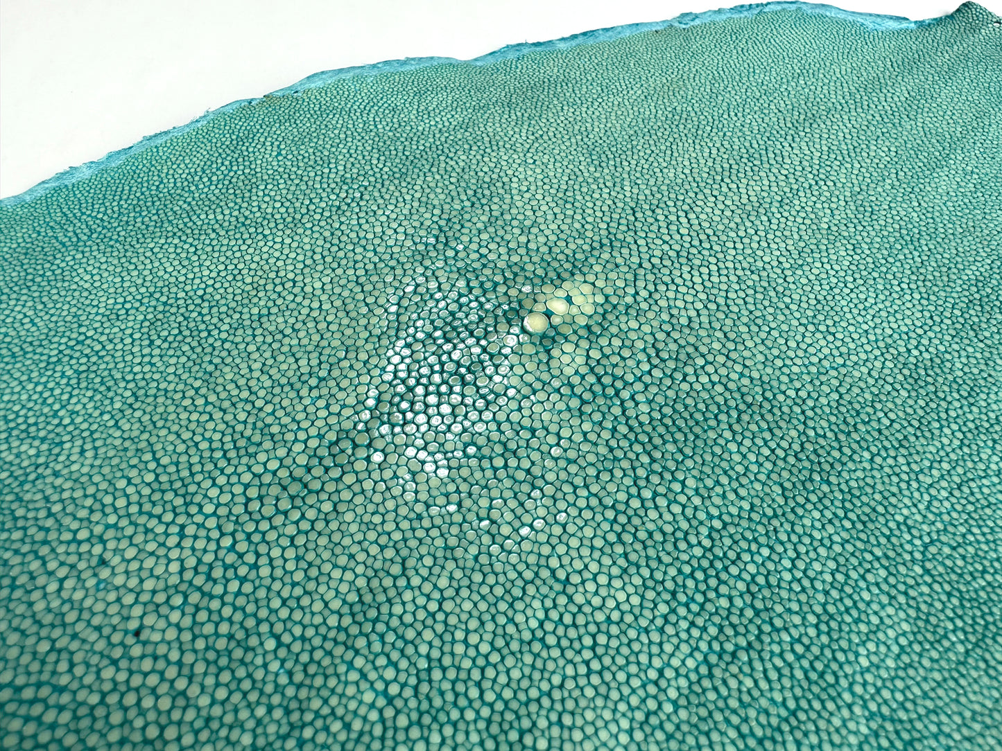 Stingray leather 9inch Ginsuri #13 Turquoise