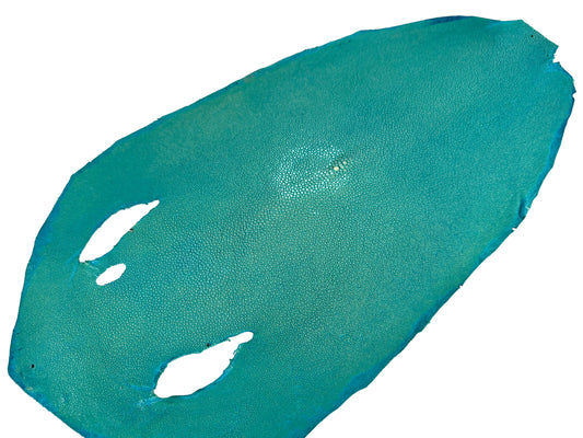 Stingray leather 9inch Ginsuri #13 Turquoise