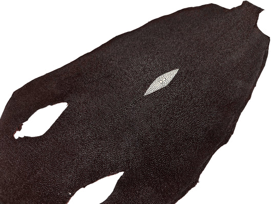 Stingray leather 9inch #10 Dark Brown