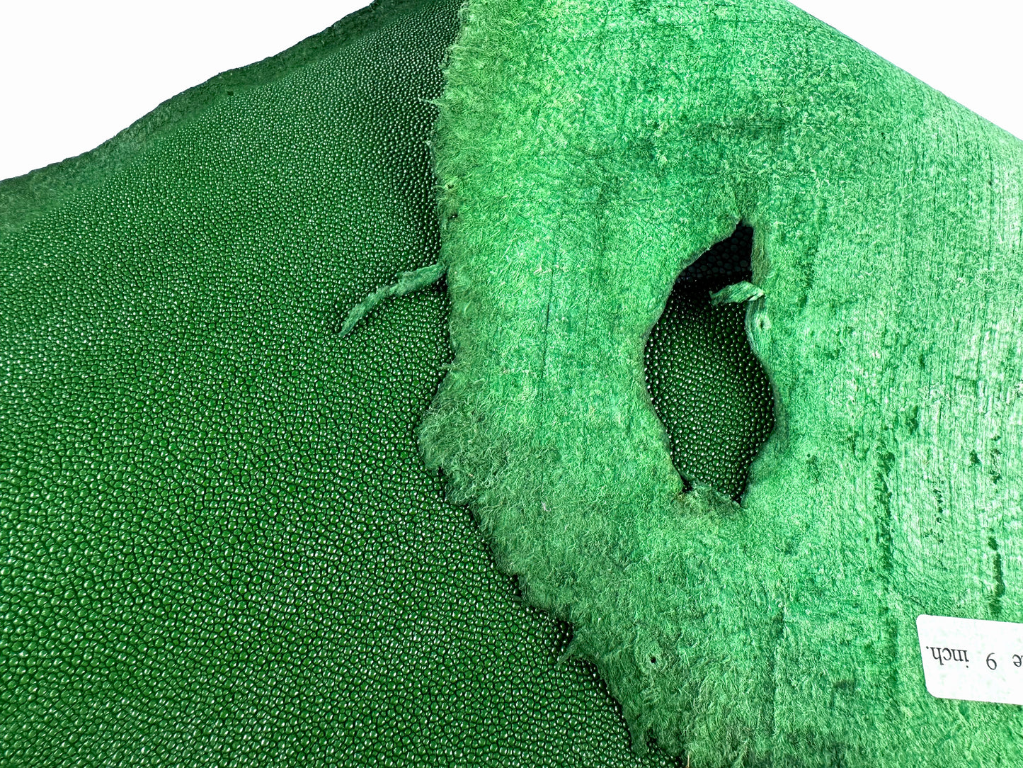 Stingray leather 9inch #11 Green