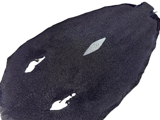 Stingray leather 9inch #14 Navy