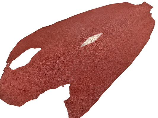 Stingray leather 9inch #1 Brown