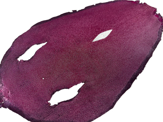 Stingray leather 9inch #8 Purple