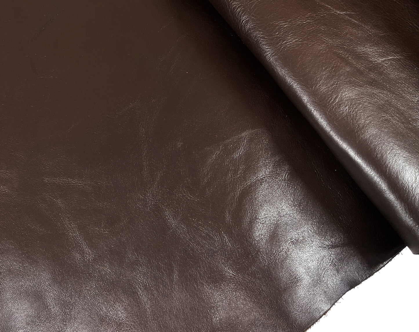 SF Horse #2 M Brown