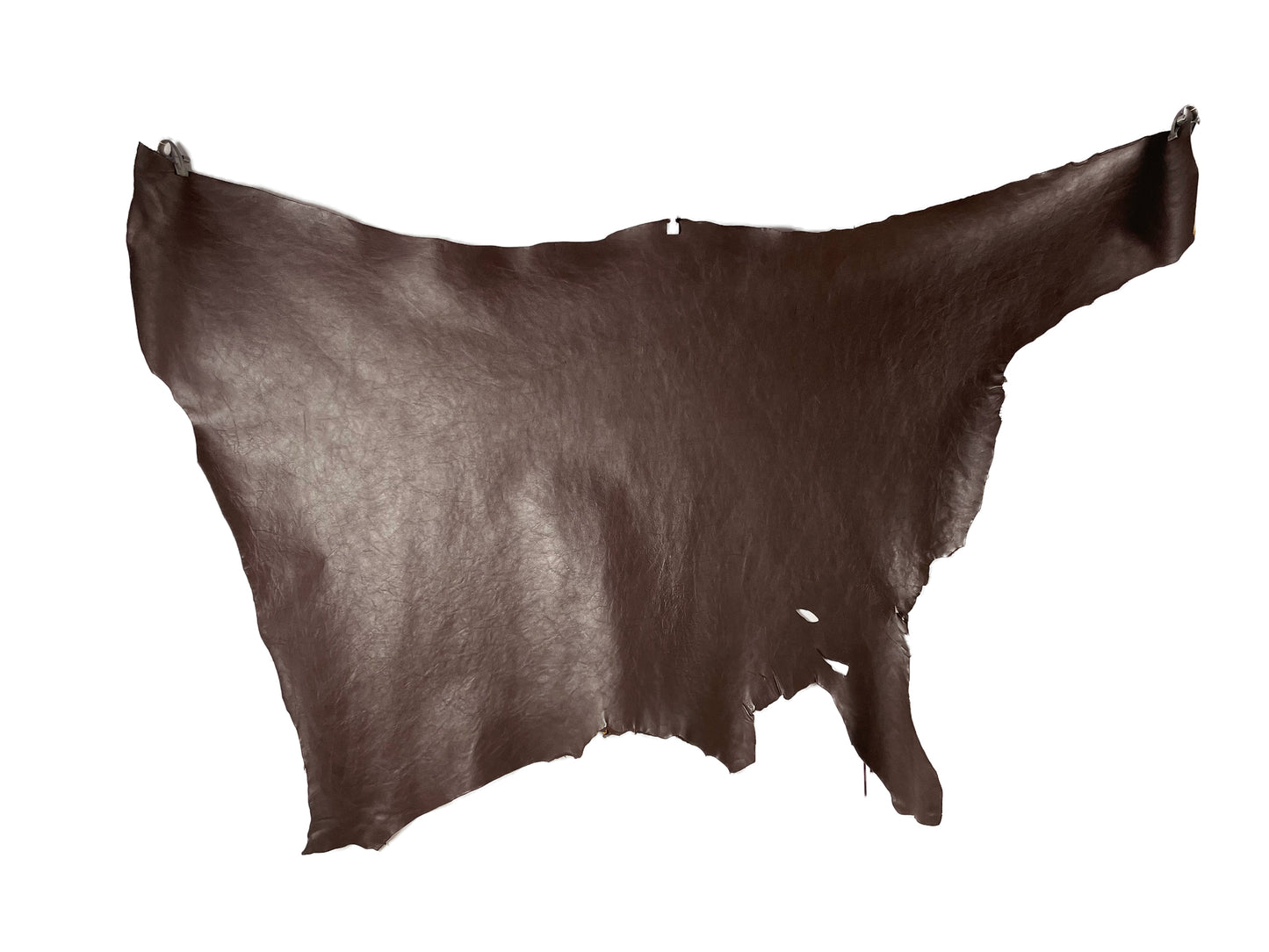 SF Horse #2 M Brown