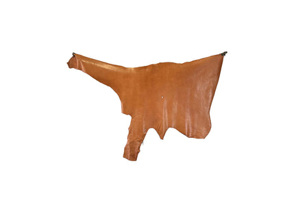 Standard #1 Camel