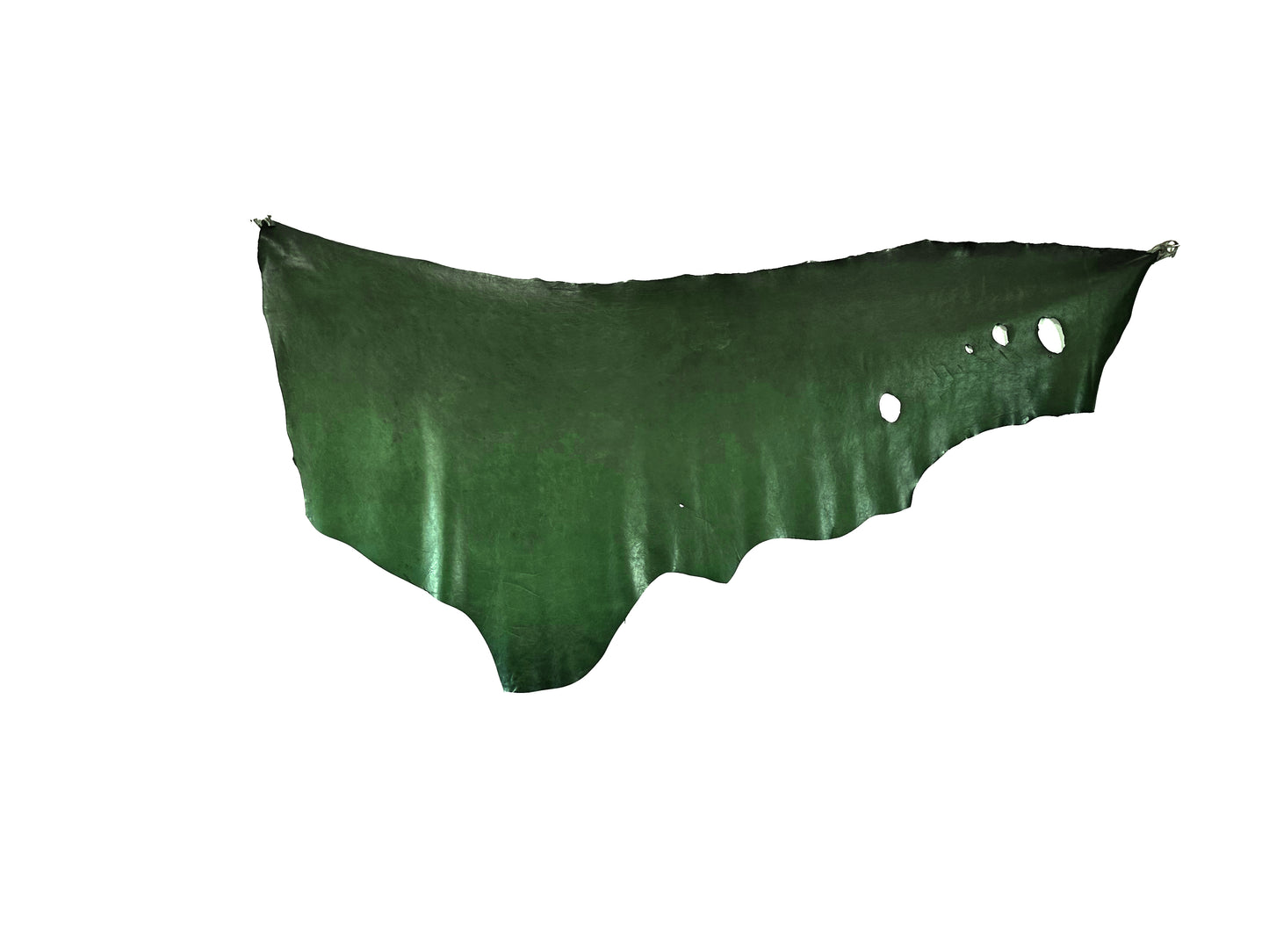 Standard #5 Green