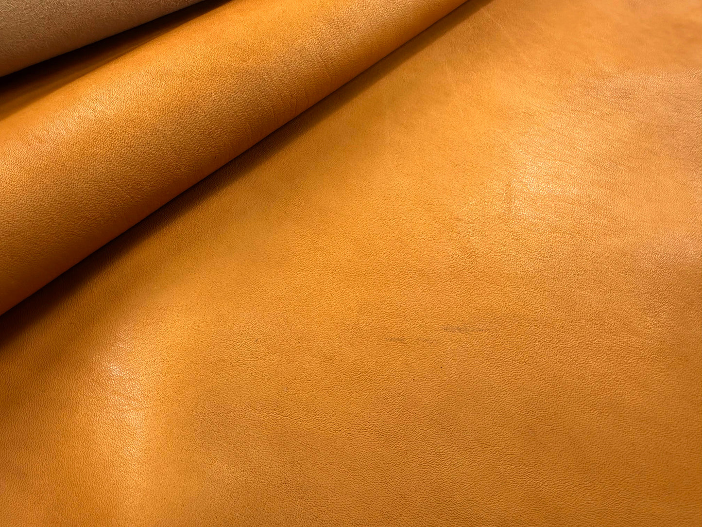 Tanned Horse leather #1 camel