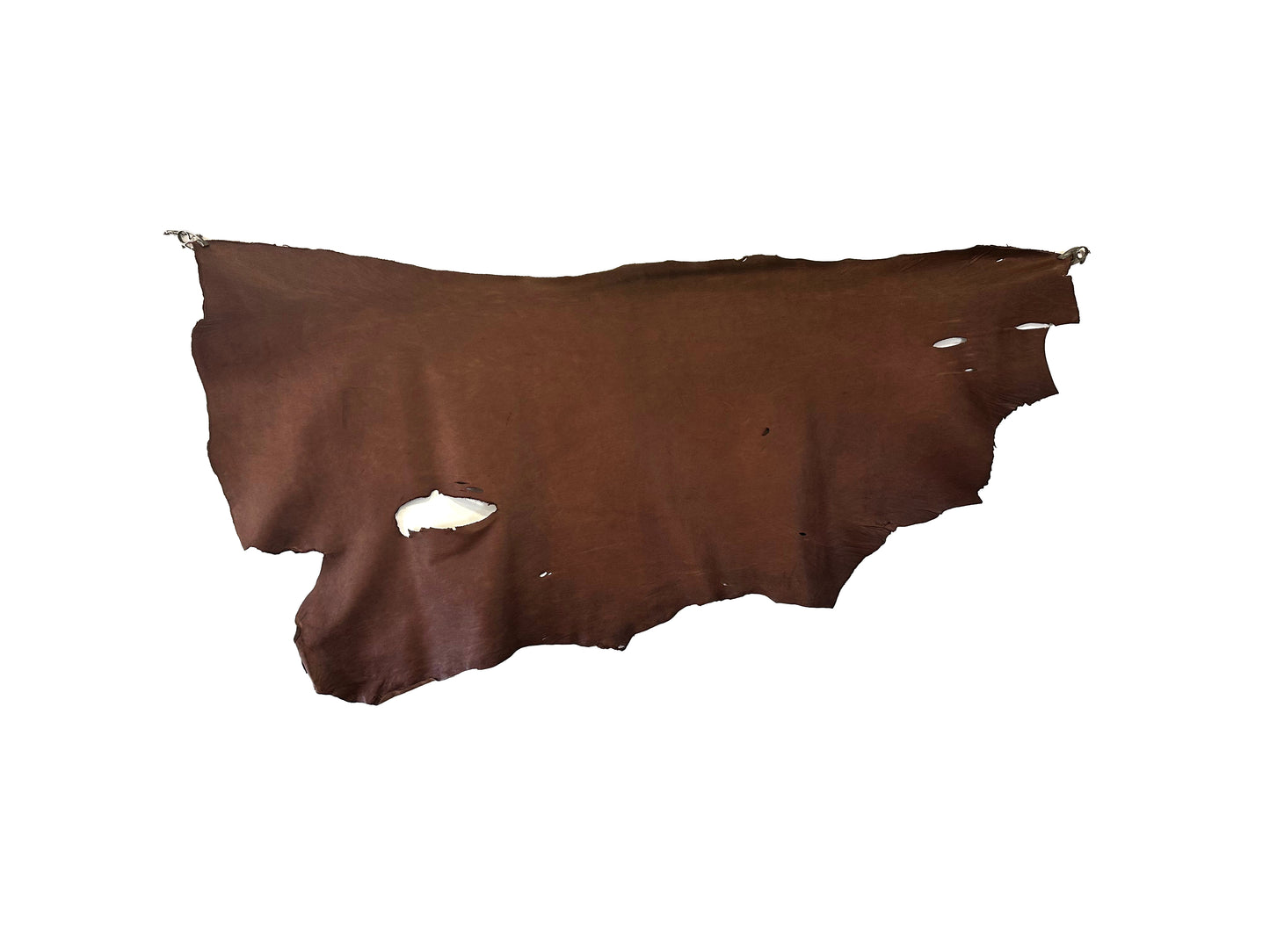 Tanned Horse leather #2 Chocolate