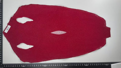 Stingray leather 9inch #5 Red