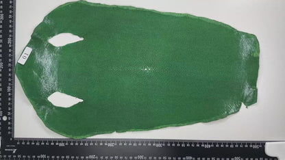 Stingray leather 9inch Ginsuri #11 Green