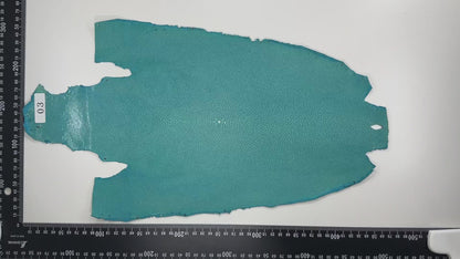 Stingray leather 9inch Ginsuri #13 Turquoise