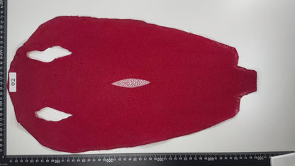 Stingray leather 9inch #5 Red