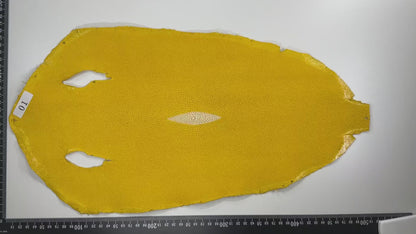 Stingray leather 9inch #2 Yellow