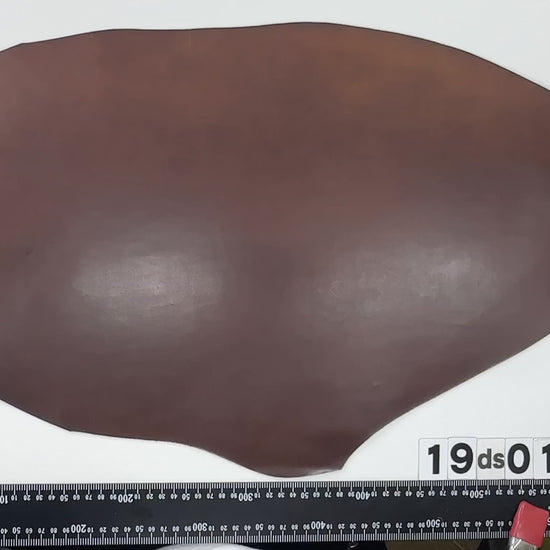 19ds01　1.3~1.4mm