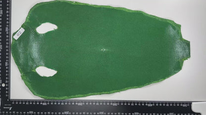 Stingray leather 9inch Ginsuri #11 Green