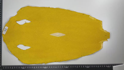 Stingray leather 9inch #2 Yellow