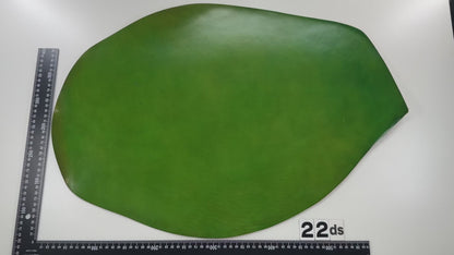 Aniline Cordovan #450 Apple Green