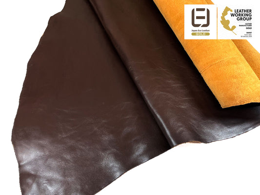 SF Horse #2 M Brown