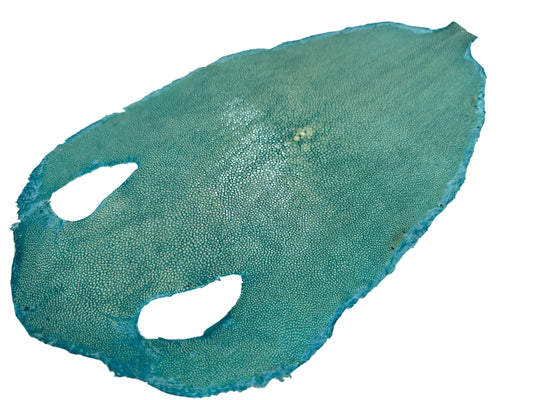 Stingray leather 9inch Ginsuri #13 Turquoise