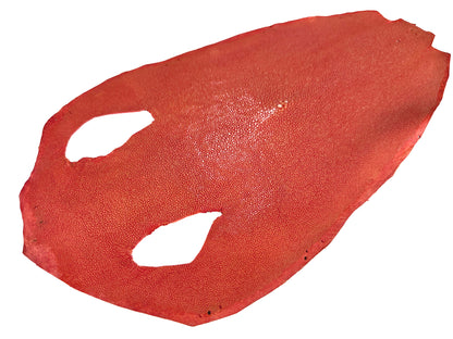 Stingray leather 9inch Ginsuri #5 Red