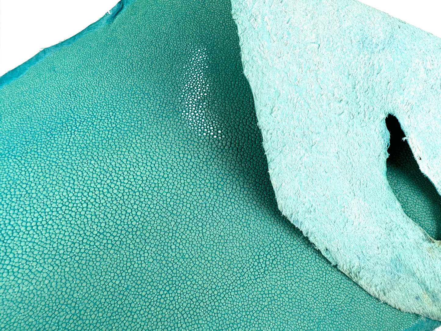 Stingray leather 9inch Ginsuri #13 Turquoise
