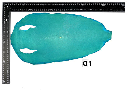 Stingray leather 9inch Ginsuri #13 Turquoise