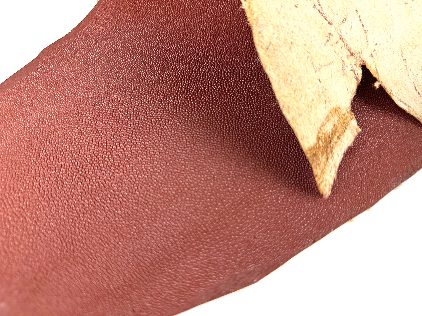 Stingray leather 9inch #1 Brown