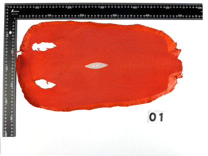 Stingray leather 9inch #3 Orange
