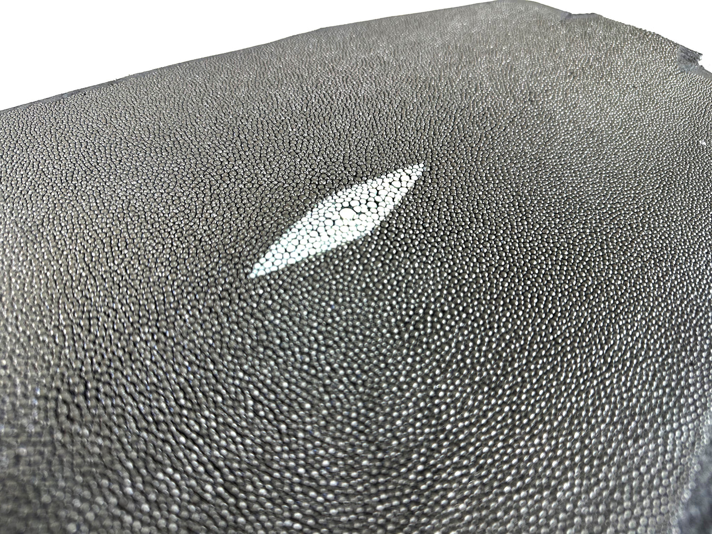 Stingray leather 9inch #7 Gray