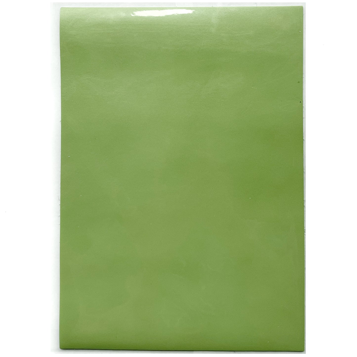Super leather A4 #23 Light Green